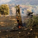 Ρέθυμνο: Συνεχίζεται η μάχη με τις αναζωπυρώσεις στην Αγία Παρασκευή | Οι ισχυροί άνεμοι δεν επιτρέπουν στα εναέρια μέσα να επιχειρήσουν