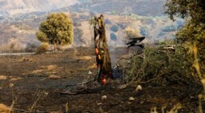 Δήμος Αποκορώνου: «Όταν η Κρήτη ενώνεται» – Συγκέντρωση βοήθειας για τους πυρόπληκτους