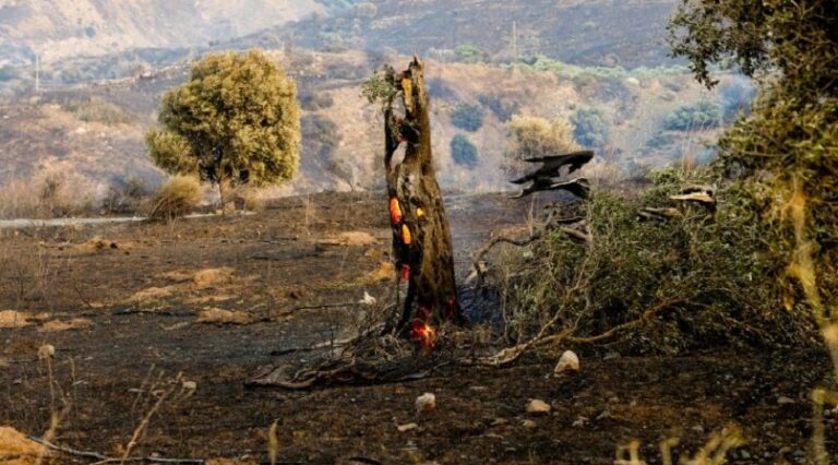 Δήμος Αποκορώνου: «Όταν η Κρήτη ενώνεται» – Συγκέντρωση βοήθειας για τους πυρόπληκτους