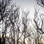 Ρέθυμνο: Σε κατάσταση έκτακτης ανάγκης ο Δήμος Αγίου Βασιλείου