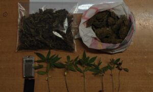 Κρήτη: Είχε την χασισοφυτεία στο σπίτι του (φώτο)