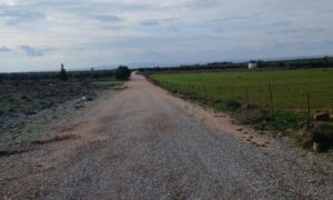Νέα χρηματοδότηση 480.000 ευρώ για αγροτική οδοποιία στο Φραγκοκάστελλο