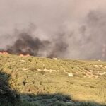 Κλιμάκιο της ΠΟΓΕΔΥ επισκέπτεται τις πυρόπληκτες περιοχές του Ρεθύμνου
