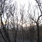 Έσβησε η φονική πυρκαγιά στο Νότιο Ρέθυμνο – Υπό έλεγχο και η φωτιά στον Ασκύφου