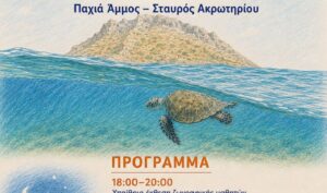 Χανιά: Γιορτή θαλάσσιας χελώνας – Δράση για την προστασία του περιβάλλοντος του Σταυρού