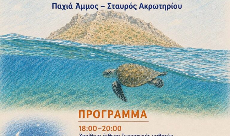Χανιά: Γιορτή θαλάσσιας χελώνας – Δράση για την προστασία του περιβάλλοντος του Σταυρού