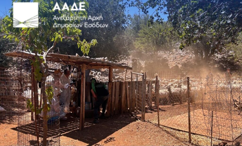 ΑΑΔΕ: Πρώτος μαζικός επιτόπιος έλεγχος για αγροτικές επιδοτήσεις – 195 κτηνοτρόφοι ελέγχθηκαν στην Κρήτη