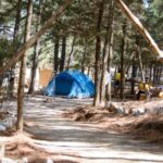 Μετά από 33 χρόνια, η Παγκρήτια Σύναξη Στελεχών ξαναζωντανεύει στο Ρέθυμνο