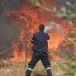 Κρήτη: Πυρκαγιά σε αγροτική έκταση στα Αχλάδια Σητείας | Ισχυρή κινητοποίηση της Πυροσβεστικής