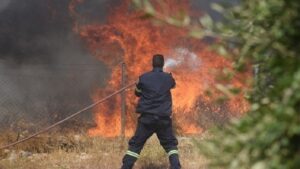 Κρήτη: Πυρκαγιά σε αγροτική έκταση στα Αχλάδια Σητείας | Ισχυρή κινητοποίηση της Πυροσβεστικής