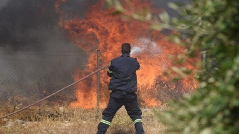 Κρήτη: Πυρκαγιά σε αγροτική έκταση στα Αχλάδια Σητείας | Ισχυρή κινητοποίηση της Πυροσβεστικής