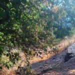Κρήτη: Δύο πυρκαγιές μέσα σε λίγη ώρα κινητοποίησαν τις αρχές