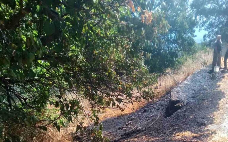 Κρήτη: Δύο πυρκαγιές μέσα σε λίγη ώρα κινητοποίησαν τις αρχές