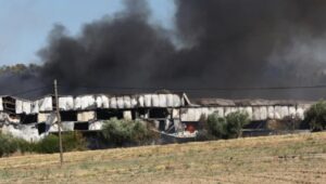 Τανάγρα: Μεγάλη πυρκαγιά μετά τη συντριβή του Phantom – Επιχειρούν 11 εναέρια