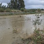 Ενεργοί Πολίτες Πλατανιά: Ο Ταυρωνίτης ποταμός έχει νερό αλλά η εικόνα στον παραποτάμιο δρόμο προβληματίζει….(φώτο)