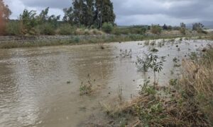Ενεργοί Πολίτες Πλατανιά: Ο Ταυρωνίτης ποταμός έχει νερό αλλά η εικόνα στον παραποτάμιο δρόμο προβληματίζει….(φώτο)