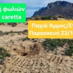 Εκπαιδευτική δράση: Γνωρίζουμε και προστατεύουμε τη θαλάσσια χελώνα Caretta caretta στον Σταυρό Ακρωτηρίου Χανίων