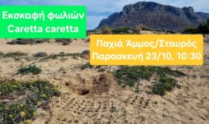 Εκπαιδευτική δράση: Γνωρίζουμε και προστατεύουμε τη θαλάσσια χελώνα Caretta caretta στον Σταυρό Ακρωτηρίου Χανίων