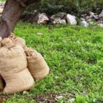 Παράσταση διαμαρτυρίας στην Περιφέρεια Κρήτης από αγρότες για την ελαιοκαλλιέργεια