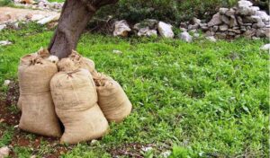 Παράσταση διαμαρτυρίας στην Περιφέρεια Κρήτης από αγρότες για την ελαιοκαλλιέργεια