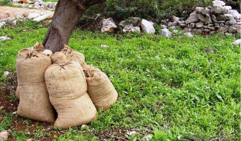 Παράσταση διαμαρτυρίας στην Περιφέρεια Κρήτης από αγρότες για την ελαιοκαλλιέργεια