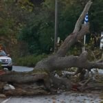 Χανιά: Έπεσε μεγάλο κλαδί από τον αιωνόβιο πλάτανο στο Δρομόνερο