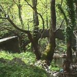 Χανιά: Ανοίγει ξανά το φαράγγι της Αγίας Ειρήνης μετά τις έντονες βροχοπτώσεις