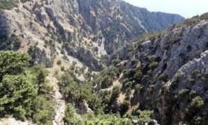 Χανιά: Αγωνία για άνδρα που αγνοείται στα Σφακιά