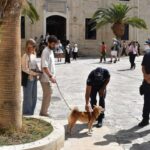 Εντατικοί έλεγχοι για την προστασία ζώων συντροφιάς στην Κρήτη (φώτο)