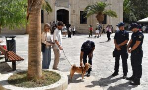 Εντατικοί έλεγχοι για την προστασία ζώων συντροφιάς στην Κρήτη (φώτο)