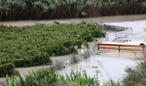 Κρήτη: Χωρίς τις αισθήσεις του εντοπίστηκε ο κτηνοτρόφος στις Καρίνες Ρεθύμνου
